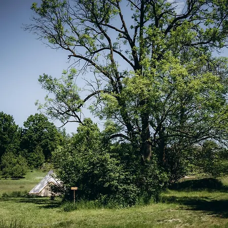 Glamping U Lesa Hotel Rychnov nad Kneznou Exterior photo