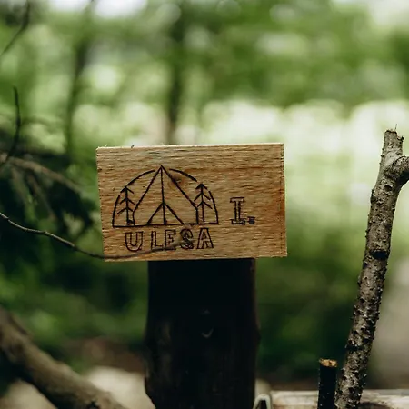 Glamping U Lesa Hotel Rychnov nad Kneznou Exterior photo