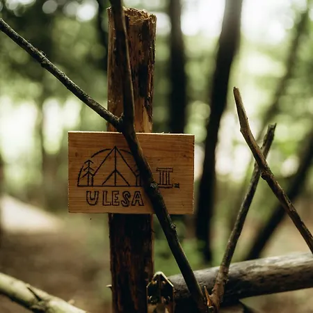 Glamping U Lesa Hotel Rychnov nad Kneznou Exterior photo