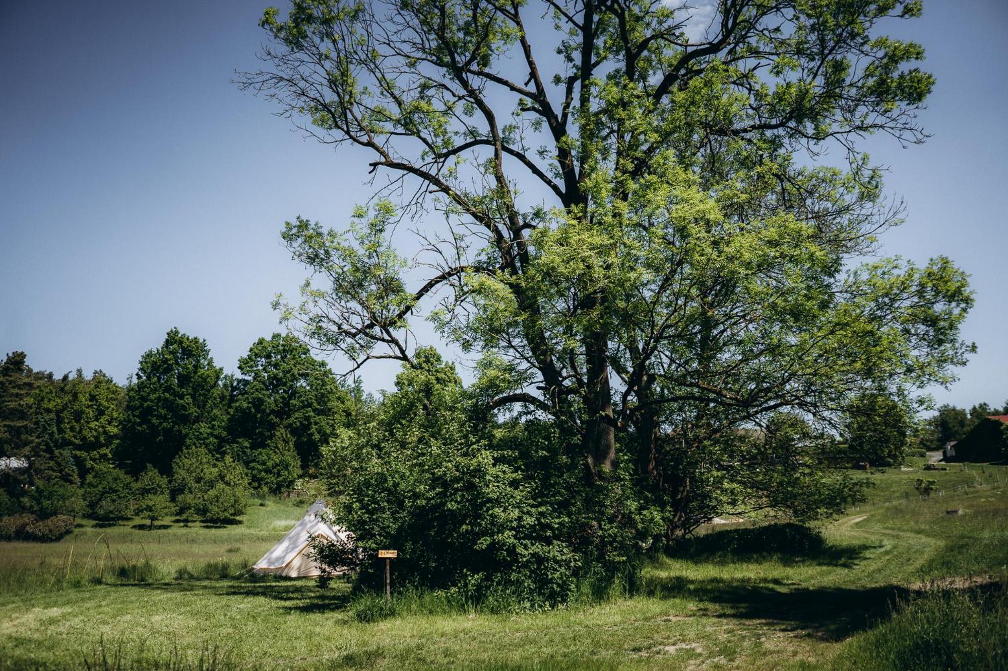Luxusní stan Glamping U Lesa